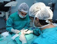 Heydər Əliyev Fondunun dəstəyi ilə eşitmə qüsurlu şəxslər üzərində koxlear implantasiya əməliyyatları aparılır (FOTO)