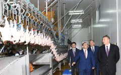 Prezident İlham Əliyev Ucarda quş kəsimi və broyler fabriklərinin fəaliyyəti ilə tanış olub (FOTO)