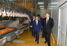 Prezident İlham Əliyev Ucarda quş kəsimi və broyler fabriklərinin fəaliyyəti ilə tanış olub (FOTO)