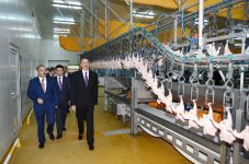 Prezident İlham Əliyev Ucarda quş kəsimi və broyler fabriklərinin fəaliyyəti ilə tanış olub (FOTO)