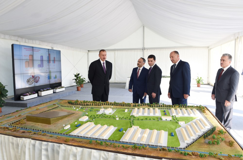 Prezident İlham Əliyev Ucarda quş kəsimi və broyler fabriklərinin fəaliyyəti ilə tanış olub (FOTO)