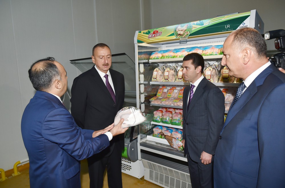 Prezident İlham Əliyev Ucarda quş kəsimi və broyler fabriklərinin fəaliyyəti ilə tanış olub (FOTO)