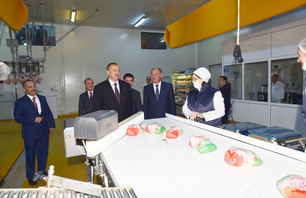 Prezident İlham Əliyev Ucarda quş kəsimi və broyler fabriklərinin fəaliyyəti ilə tanış olub (FOTO)