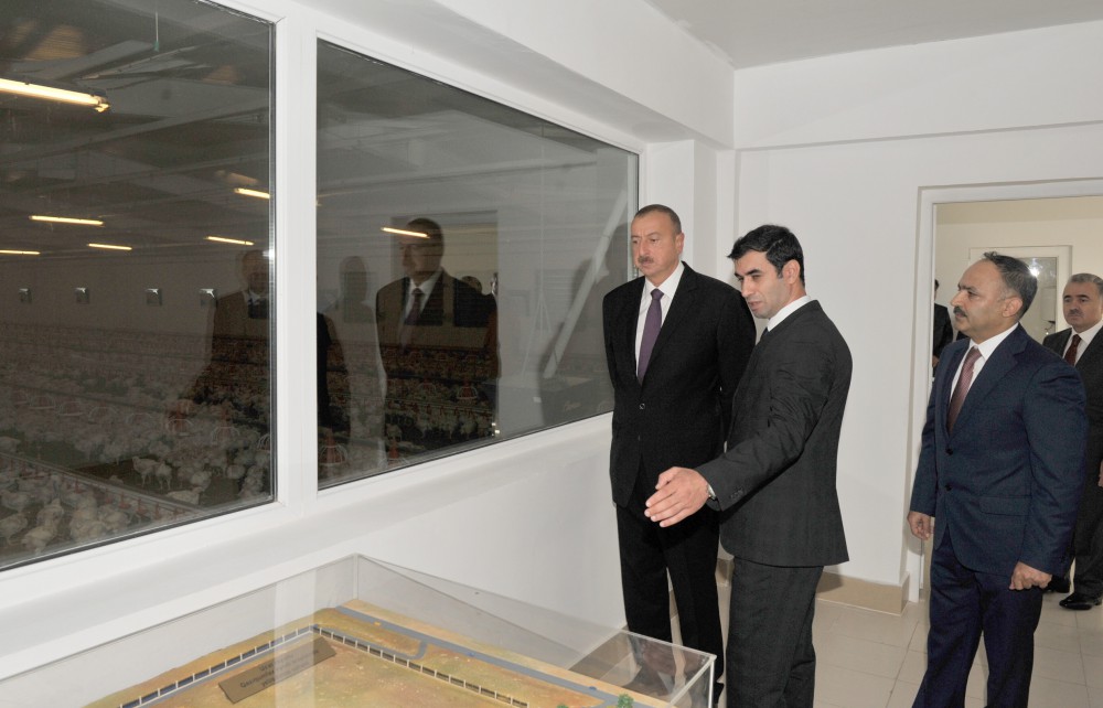 Prezident İlham Əliyev Ucarda quş kəsimi və broyler fabriklərinin fəaliyyəti ilə tanış olub (FOTO)