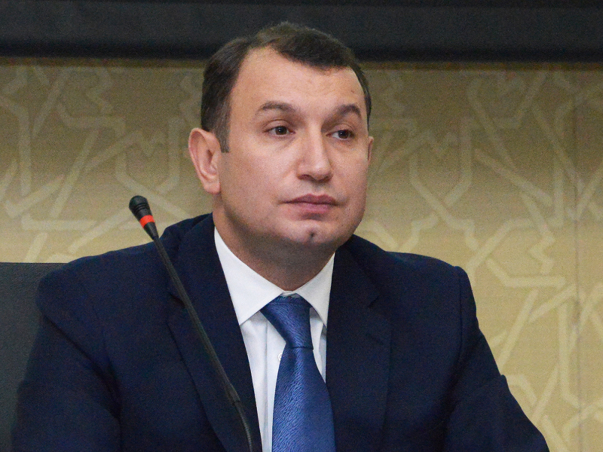 Hüquq müdafiəçisi: Cinayətkarı siyasi məhbus adlandırmaq gülüncdür