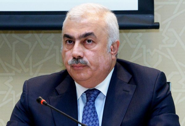 Nazir müavini: Xüsusi iqtisadi zonalar və sənaye parklarının infrastrukturunun özəl sektor tərəfindən yaradılması təşviq ediləcək (MÜSAHİBƏ)