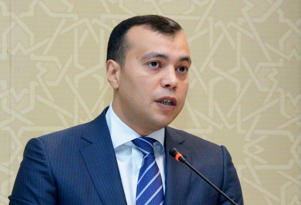 Nazir müavini: 23 ayda sahibkarlıq sahəsində 113 yoxlama aparılıb