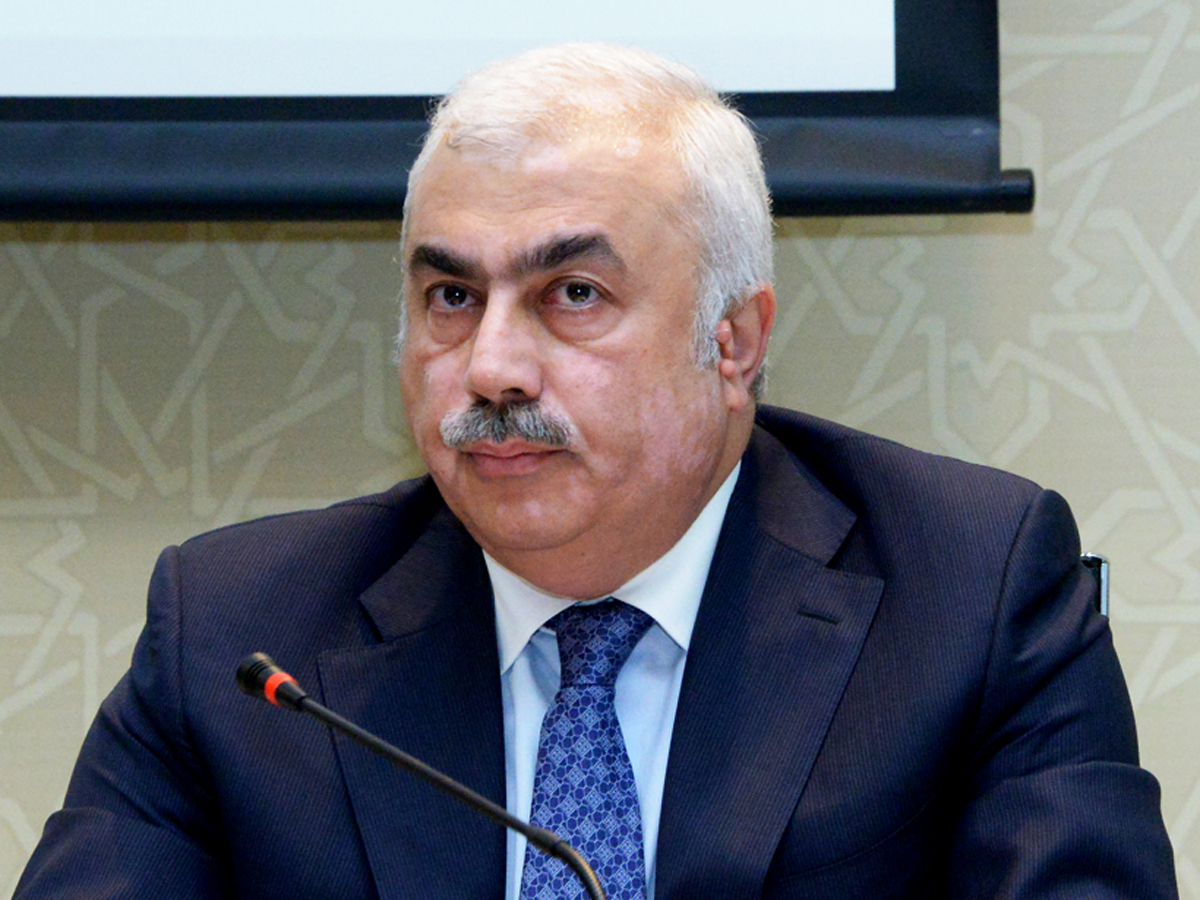 Nazir müavini: Xüsusi iqtisadi zonalar və sənaye parklarının infrastrukturunun özəl sektor tərəfindən yaradılması təşviq ediləcək (MÜSAHİBƏ)