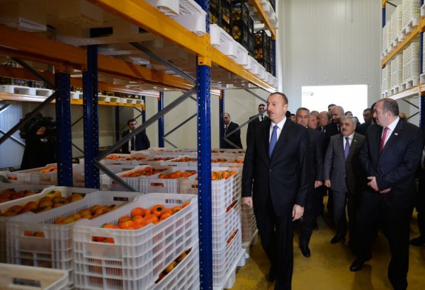Azərbaycan və Gürcüstan prezidentləri Marneulidə fəaliyyət göstərən soyuducu anbar kompleksi ilə tanış olublar (FOTO)