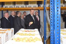 Azərbaycan və Gürcüstan prezidentləri Marneulidə fəaliyyət göstərən soyuducu anbar kompleksi ilə tanış olublar (FOTO)