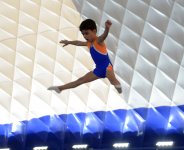 Batut gimnastikası və tamblinq üzrə Azərbaycan çempionatı başlayıb (FOTO)