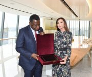 Mehriban Əliyevaya BMT-nin Əhali Fondunun xatirə diplomu və hədiyyəsi təqdim edilib (FOTO)