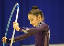 Federasiya: Azərbaycan gimnastikası il ərzində böyük uğurlar qazanıb (FOTO)