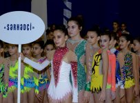 Federasiya: Azərbaycan gimnastikası il ərzində böyük uğurlar qazanıb (FOTO)