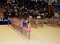 Federasiya: Azərbaycan gimnastikası il ərzində böyük uğurlar qazanıb (FOTO)