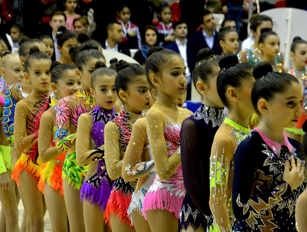 Federasiya: Azərbaycan gimnastikası il ərzində böyük uğurlar qazanıb (FOTO)