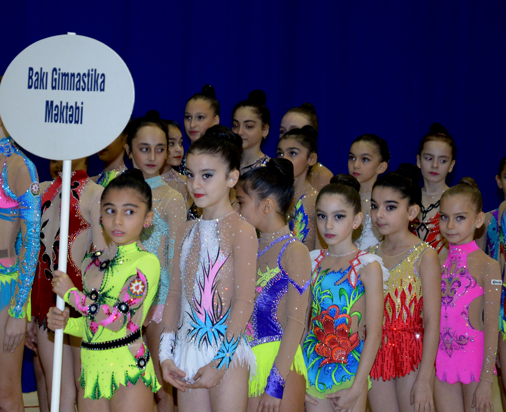 Federasiya: Azərbaycan gimnastikası il ərzində böyük uğurlar qazanıb (FOTO)