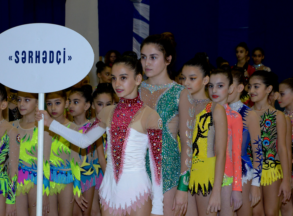Federasiya: Azərbaycan gimnastikası il ərzində böyük uğurlar qazanıb (FOTO)
