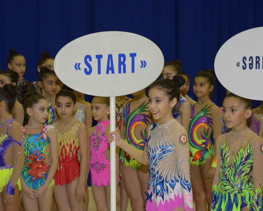 Federasiya: Azərbaycan gimnastikası il ərzində böyük uğurlar qazanıb (FOTO)