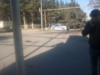 Nardarandan tam fərqli görüntülər (FOTO)