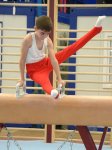 Bakıda kişi idman gimnastikası üzrə çoxnövçülükdə yarışlar başlayıb (FOTO)