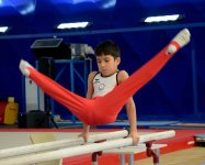Bakıda kişi idman gimnastikası üzrə çoxnövçülükdə yarışlar başlayıb (FOTO)