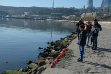 Xəzərin sahili və suları al qərənfilə bürünüb... (FOTO)