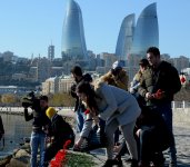 Xəzərin sahili və suları al qərənfilə bürünüb... (FOTO)