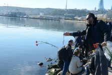 Xəzərin sahili və suları al qərənfilə bürünüb... (FOTO)