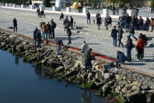 Xəzərin sahili və suları al qərənfilə bürünüb... (FOTO)