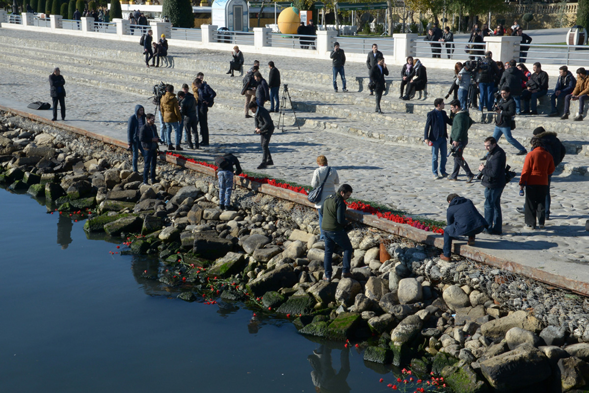 Xəzərin sahili və suları al qərənfilə bürünüb... (FOTO)