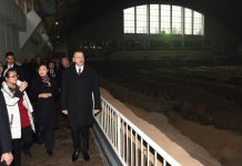 Prezident İlham Əliyev Çinin Sian şəhərindəki Terrakota Ordusu Muzeyi ilə tanış olub (FOTO)