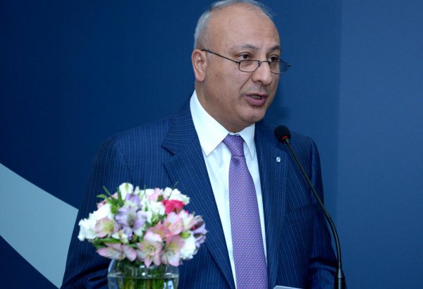 Altay Həsənov: Birinci xanım Mehriban Əliyevanın gimnastlarımızla hər bir görüşü onlar üçün bir bayrama çevrilərək, idmançılarımızı daha da ruhlandırır