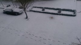 Bakıda Yeni ilin ilk günü qar yağdı (FOTO)
