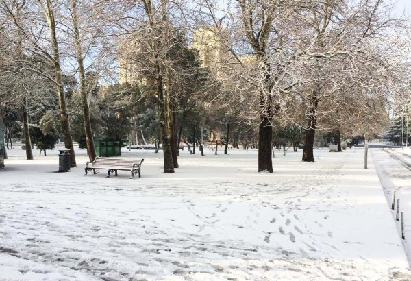Bakının qarlı günləri (FOTO)