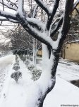 Bakının qarlı günləri (FOTO)