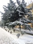 Bakının qarlı günləri (FOTO)