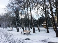 Bakının qarlı günləri (FOTO)