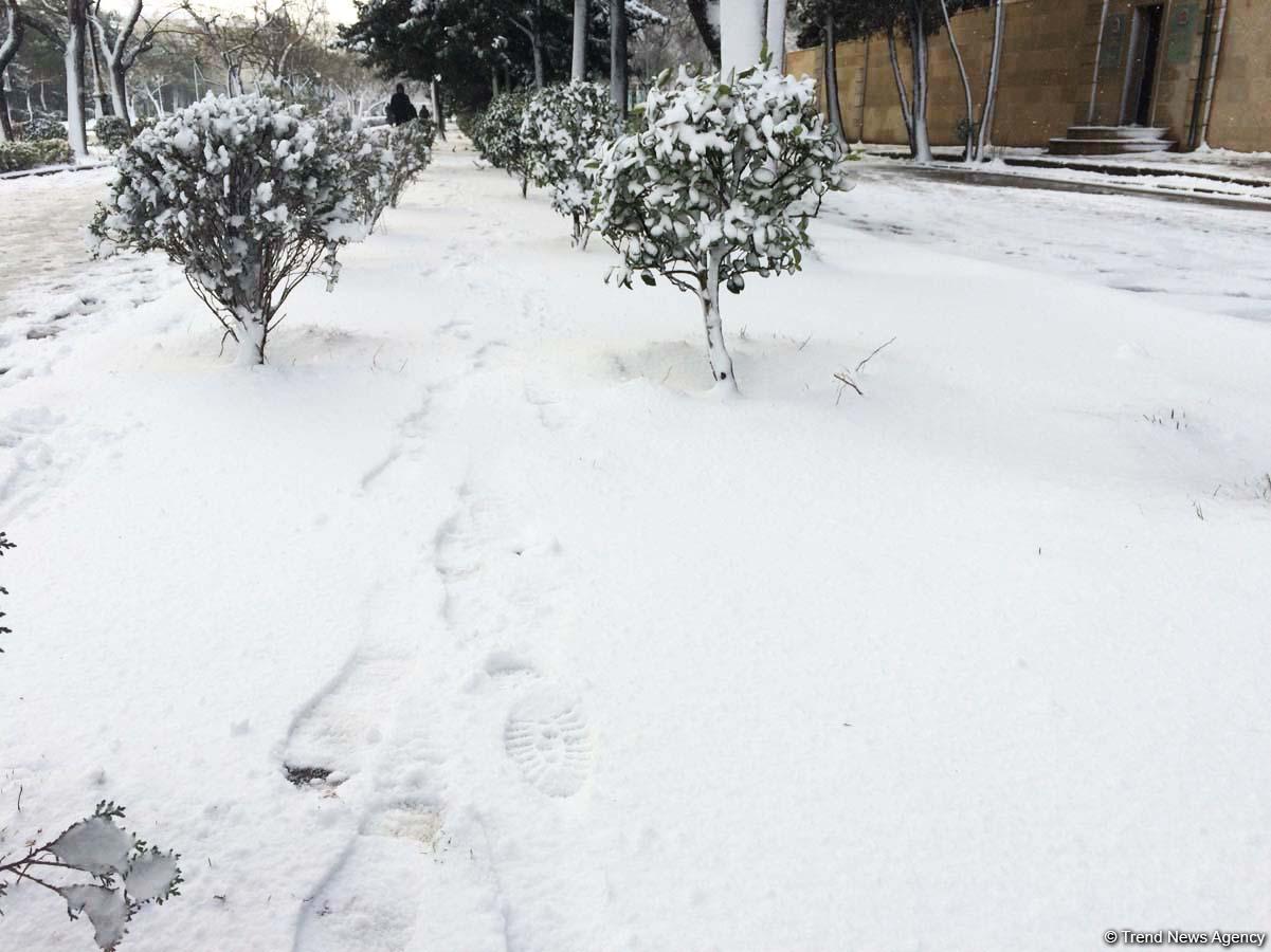 Bakının qarlı günləri (FOTO)