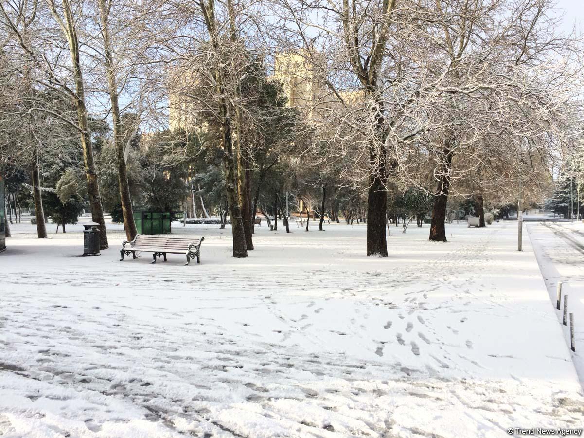 Bakının qarlı günləri (FOTO)