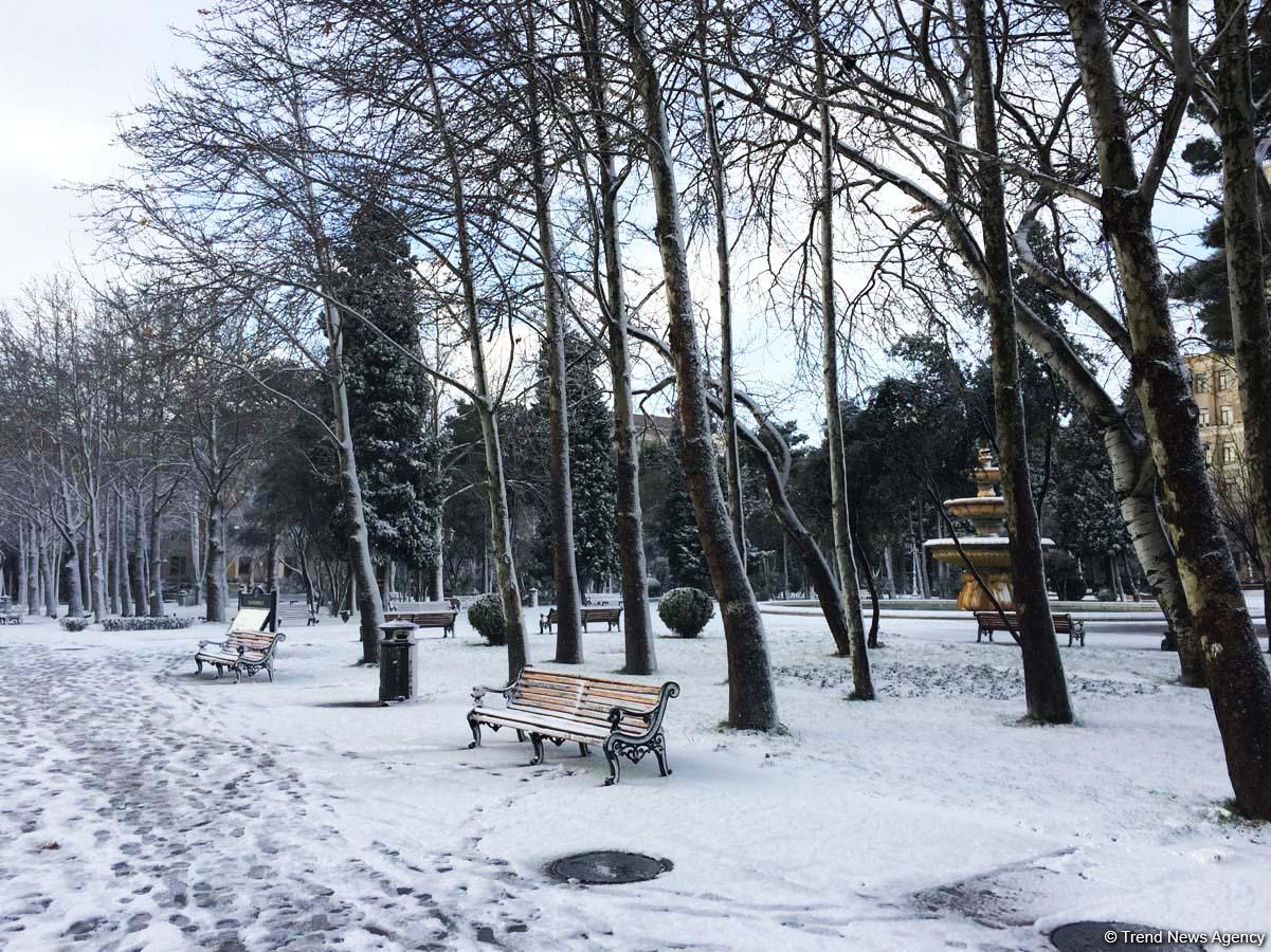 Bakının qarlı günləri (FOTO)