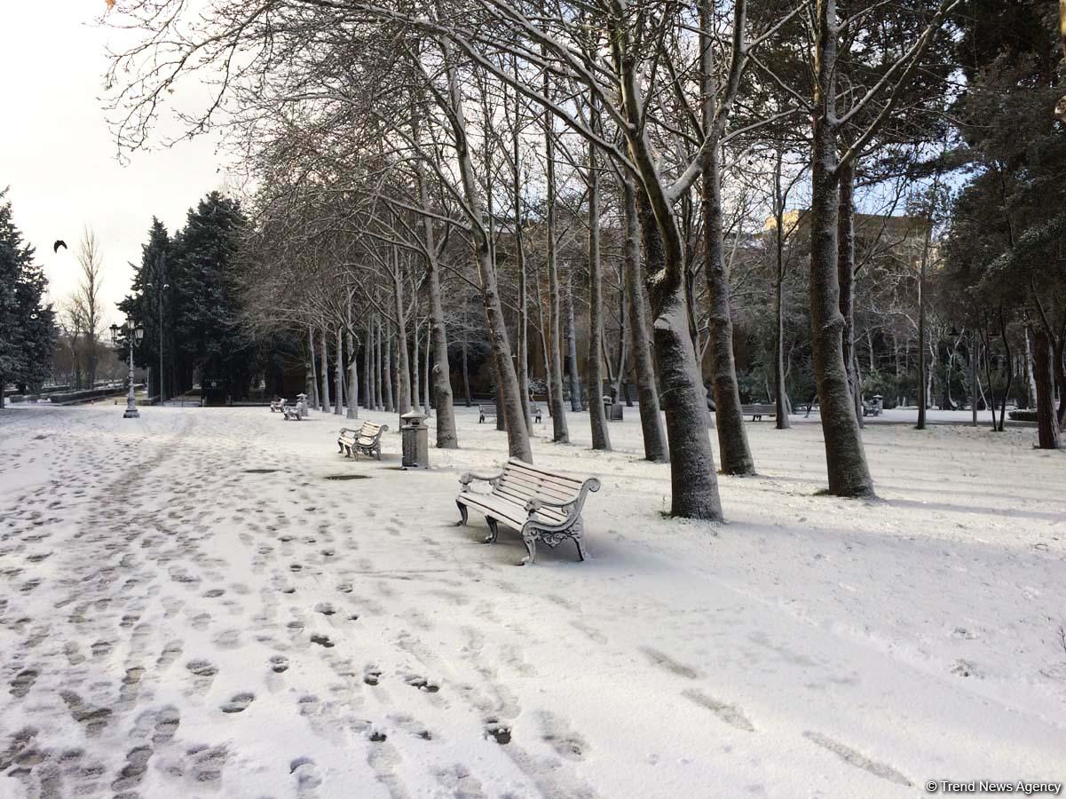 Bakının qarlı günləri (FOTO)