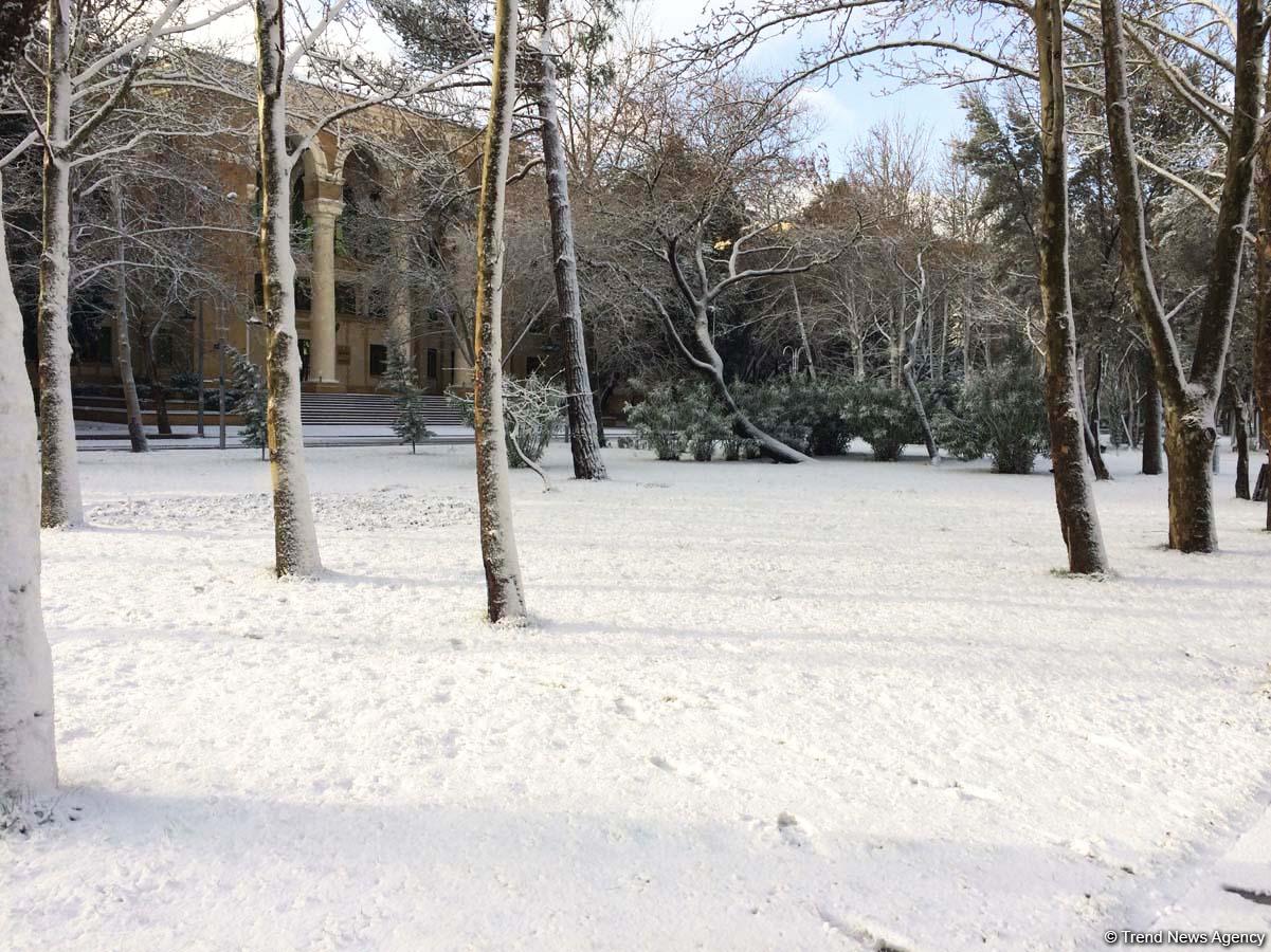 Bakının qarlı günləri (FOTO)
