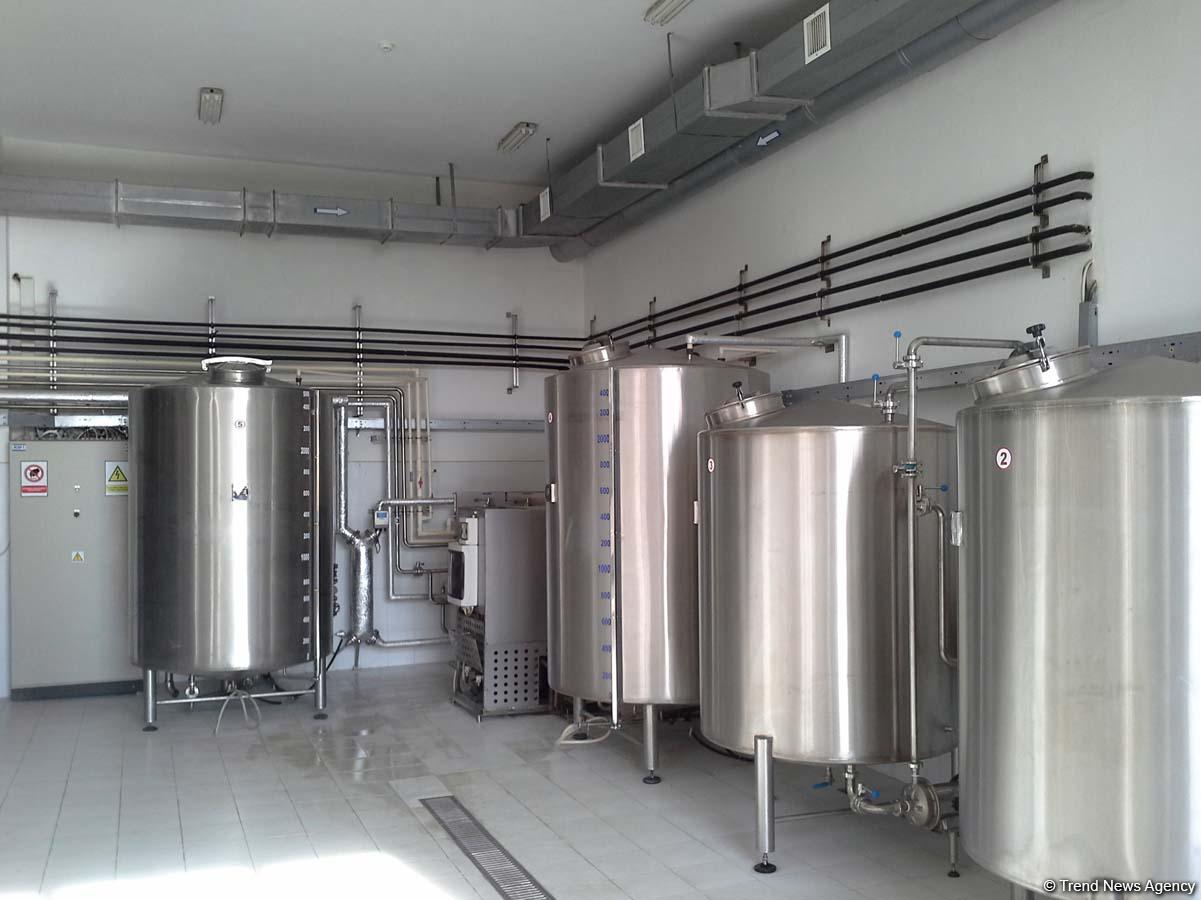 Sahibkarlar Azərbaycanda alkoqollu içkilərin nağd satışı qadağasının ləğvini alqışlayırlar (FOTO)