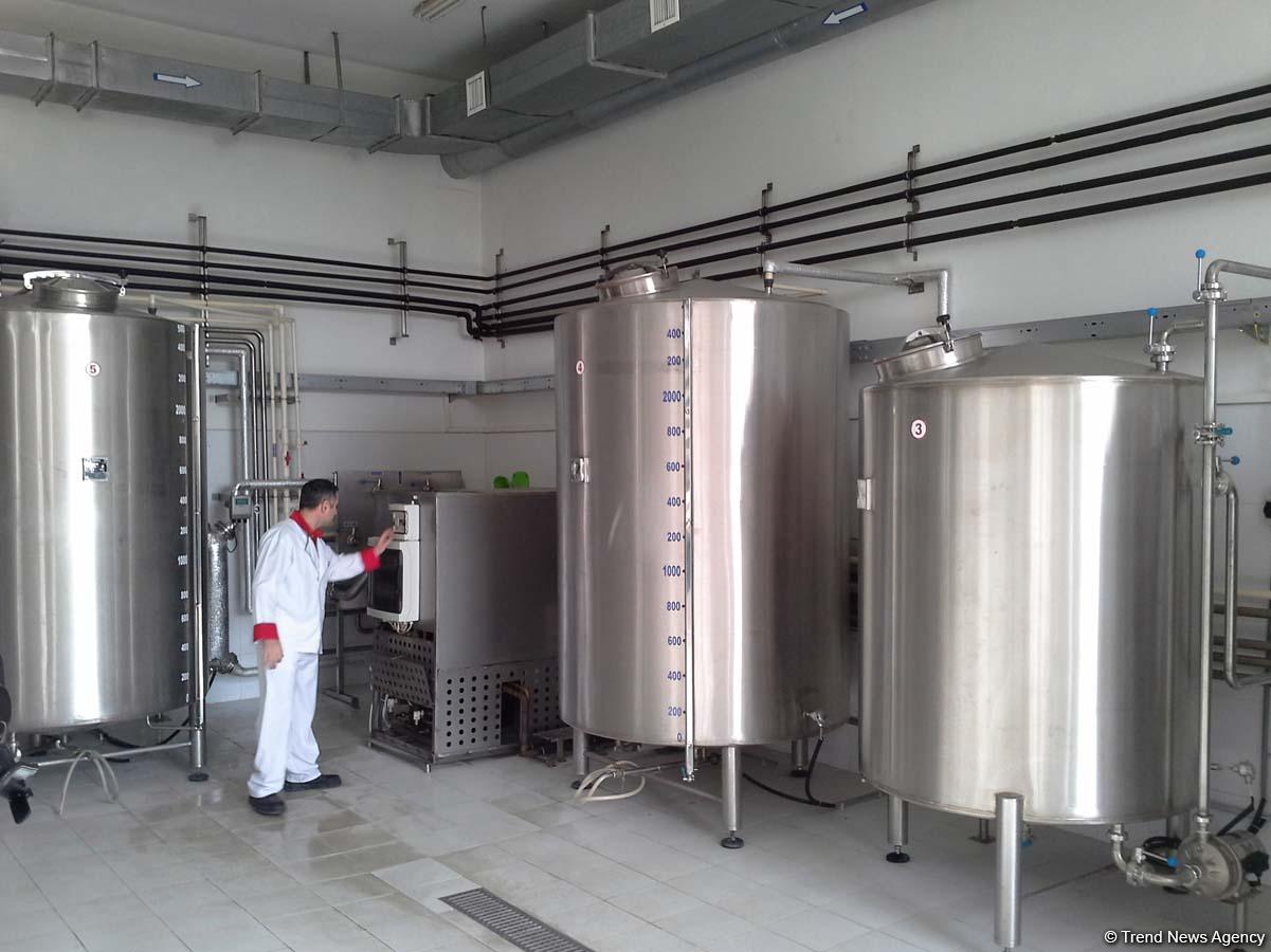 Sahibkarlar Azərbaycanda alkoqollu içkilərin nağd satışı qadağasının ləğvini alqışlayırlar (FOTO)
