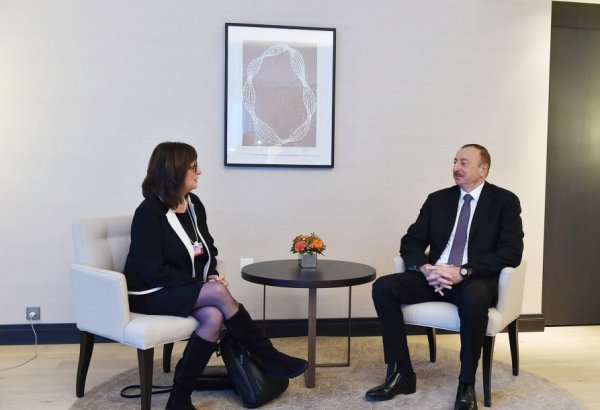 İlham Əliyev "Microsoft Corporation" şirkətinin vitse-prezidenti ilə görüşüb (FOTO)