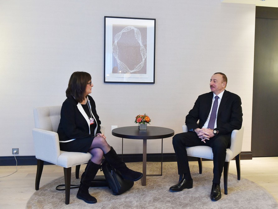 İlham Əliyev "Microsoft Corporation" şirkətinin vitse-prezidenti ilə görüşüb (FOTO)