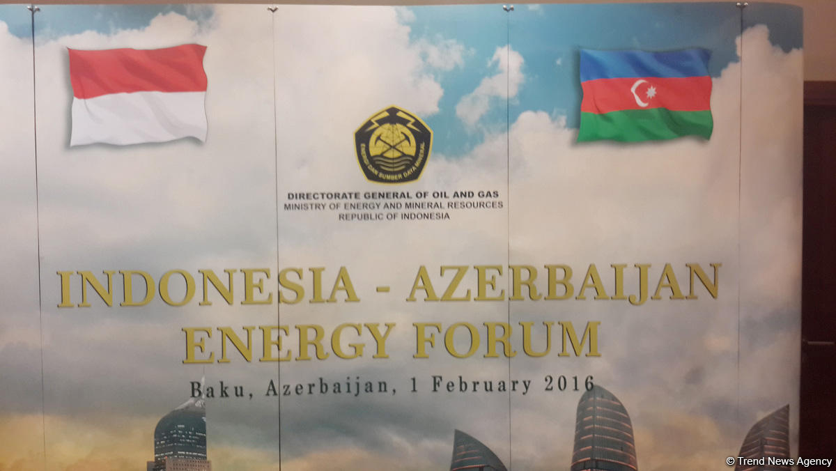 İndoneziya Azərbaycanı ölkənin energetika sahəsinə sərmayə qoymağa dəvət etdi