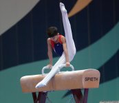 Bakıda idman gimnastikası üzrə Dünya Kubokunun açılış mərasiminin yekun məşqi keçirilib (FOTO)