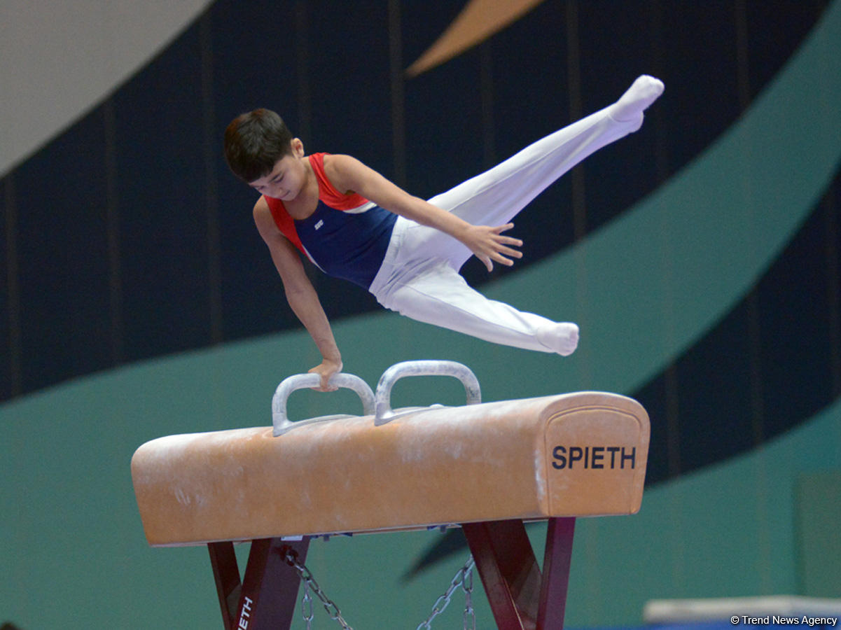 Bakıda idman gimnastikası üzrə Dünya Kubokunun açılış mərasiminin yekun məşqi keçirilib (FOTO)